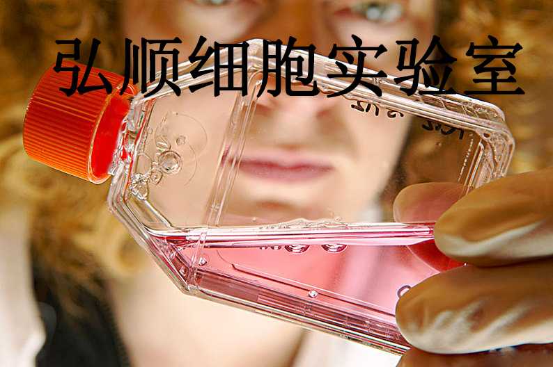 MLMA Cells|人恶性淋巴瘤悬浮细胞
