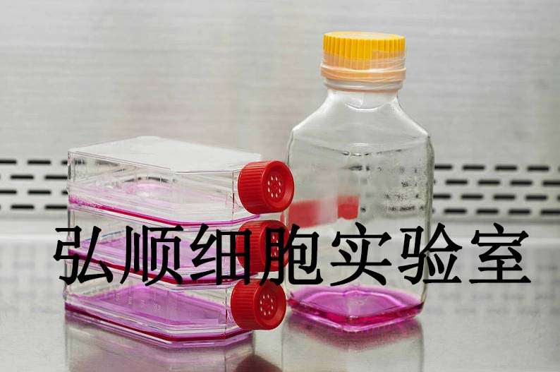 NCM356 Cells|结直肠腺癌贴壁细胞