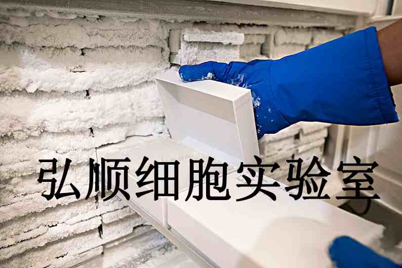 QBC939 Cells|人胆管癌贴壁细胞