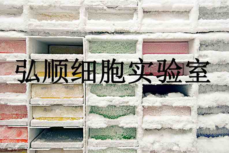 CEM-T4 Cells|人急性T淋巴细胞白血病悬浮细胞