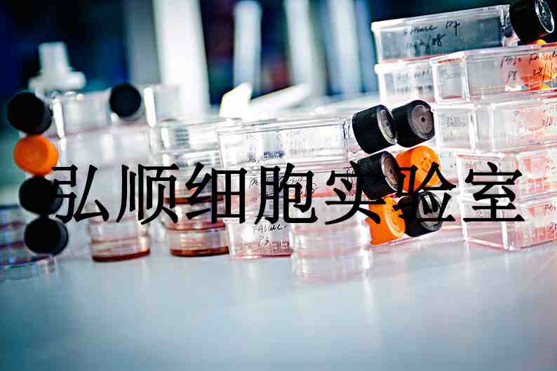 H9人T淋巴瘤悬浮细胞系