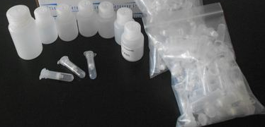 一步法大提质粒DNAout