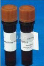 DNA电泳分子量标准D（λ DNA/EcoR I)