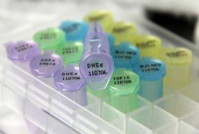 DNA磷酸化试剂盒