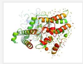 盐酸胍溶液，8 M