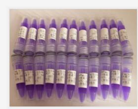 蛋白胶中量回收试剂盒