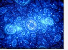 动物细胞核制备试剂盒（密度梯度法）