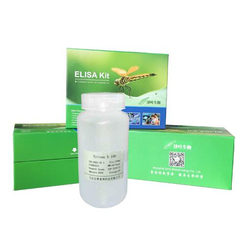 牛血清白蛋白（BSA）标准品