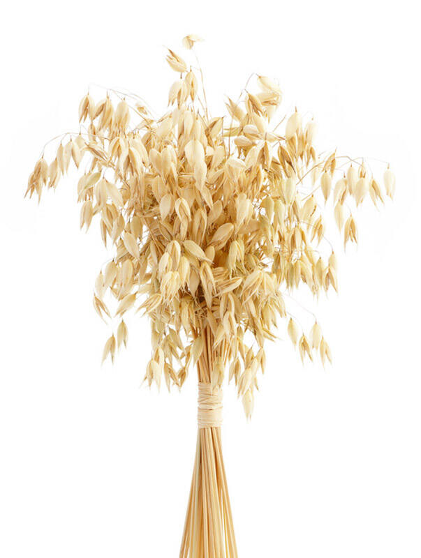 羟苯基丙酰胺苯甲酸,二氢燕麦生物碱D