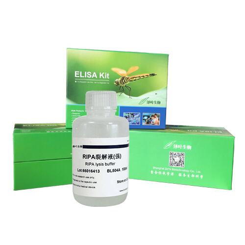 TBS酪蛋白吐温-20 TBS溶液