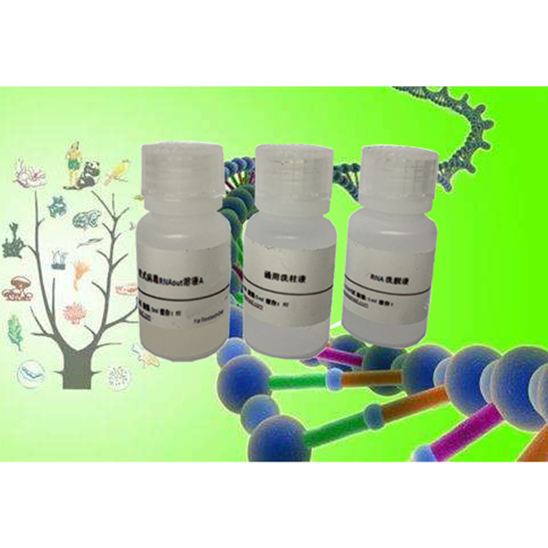网状纤维染色试剂盒(改良Gomori银氨法)