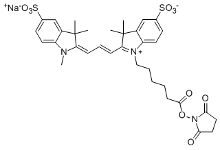 Sulfo-Cyanine3 NHS ester，Sulfo-Cy3 NHS ester