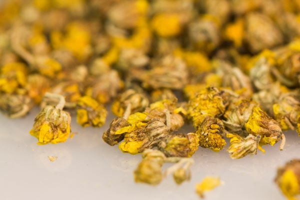 野菊花提取物，纯天然植物来源