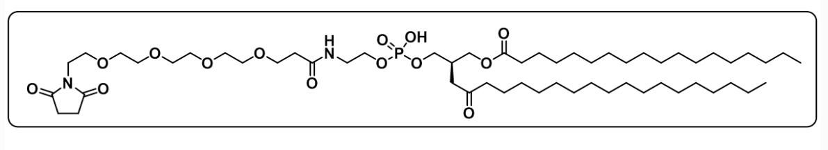 磷脂-四聚乙二醇-琥珀酰亚胺酯,DSPE-PEG4-NHS ester