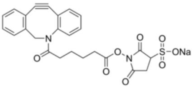 二苯并环辛基硫代 N -羟基琥珀酰亚胺酯,DBCO-sulfo-NHS ester,DBCO-sulfo-SE