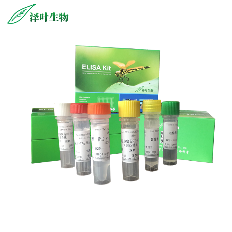 恩杜姆病毒染料法荧光定量RT-PCR试剂盒