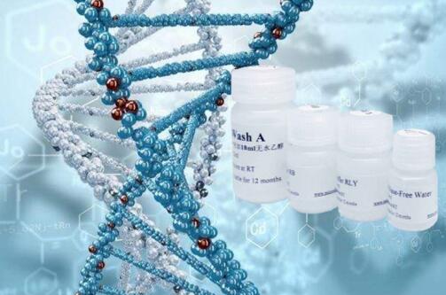BeyoRT? cDNA第一链合成试剂盒(RNase H-)