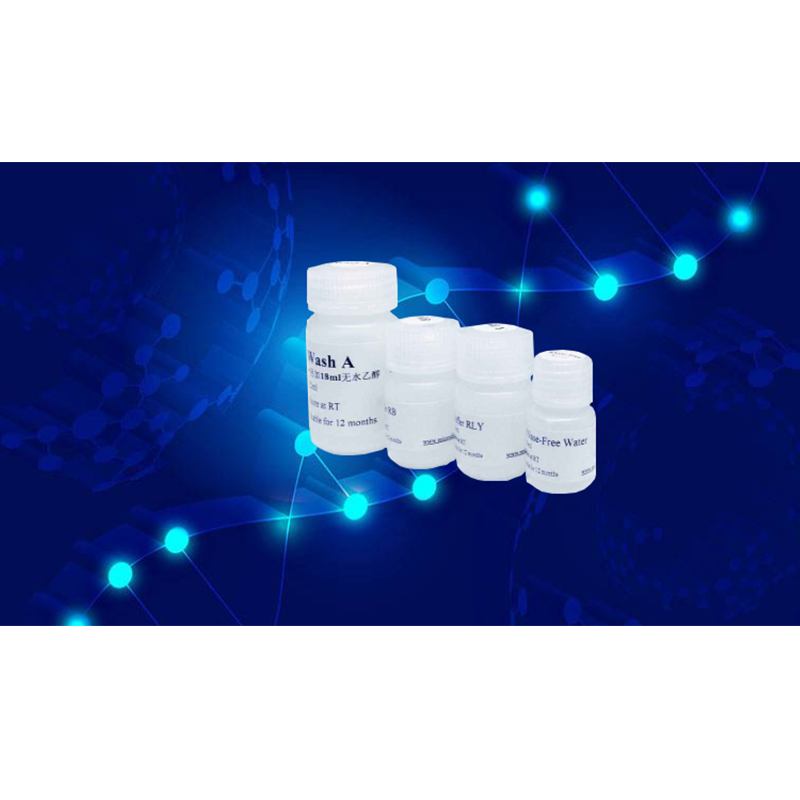 EMSA突变探针－SP1 (10μM)