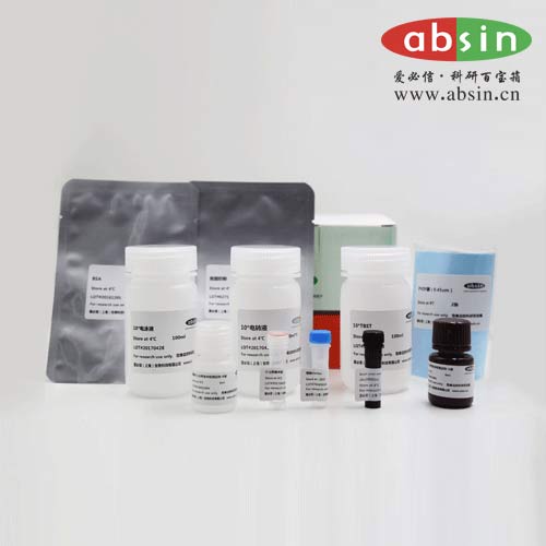 考马斯亮蓝染色试剂盒(常规型)R250