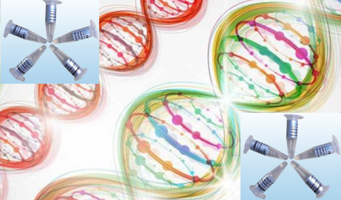 DH5α热激感受态细