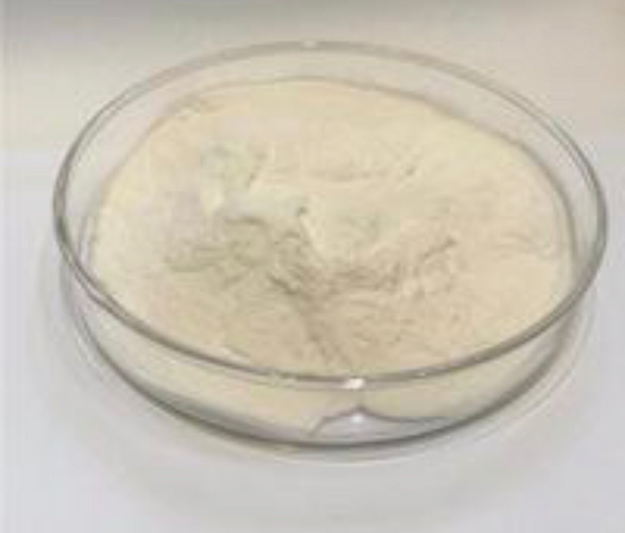 2-氨基-3-苄氧基吡啶