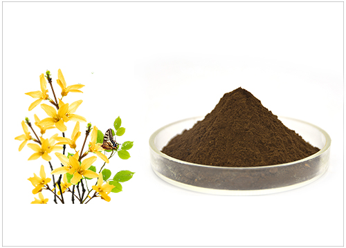贯叶连翘金丝桃素提取物
