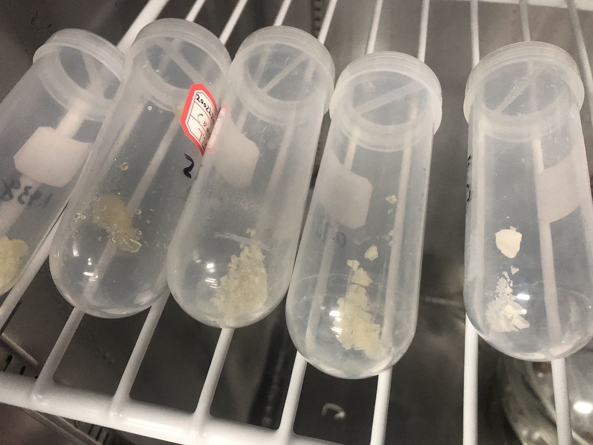 Lanreotide 兰瑞肽