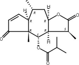 山金车内酯C