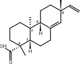 长白楤木酸