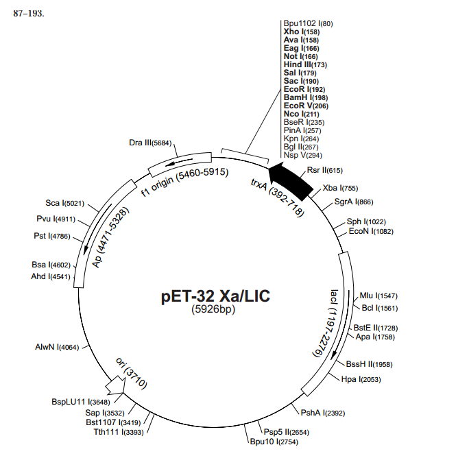 pET-32 Xa/LIC 载体