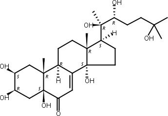 水龙骨甾酮B