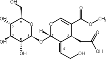 10-Hydroxyoleoside 11-methyl ester