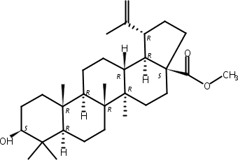 桦木酸甲酯