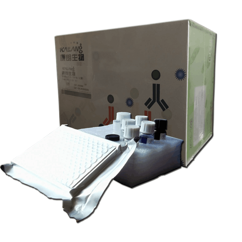 TUNEL细胞凋亡检测试剂盒