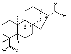 ent-贝壳烯烷-17,19-二酸