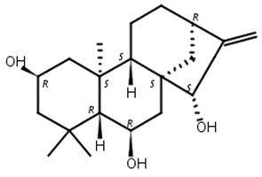 16-贝壳杉烯-2,6,15-三醇