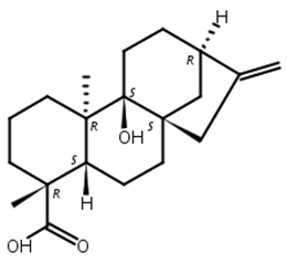 9Beta-羟基-对映贝壳杉-16-烯酸