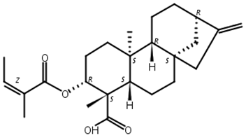 对映-3beta-当归酰基氧基-16-贝壳杉-19-烯酸