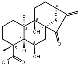 对映-6,9-二羟基-15-氧代-16-贝壳杉烯-19-酸