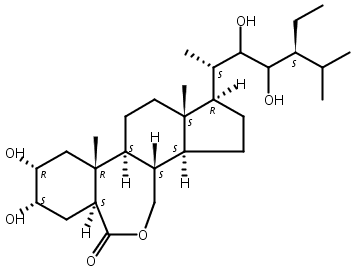 28-高油菜素内酯
