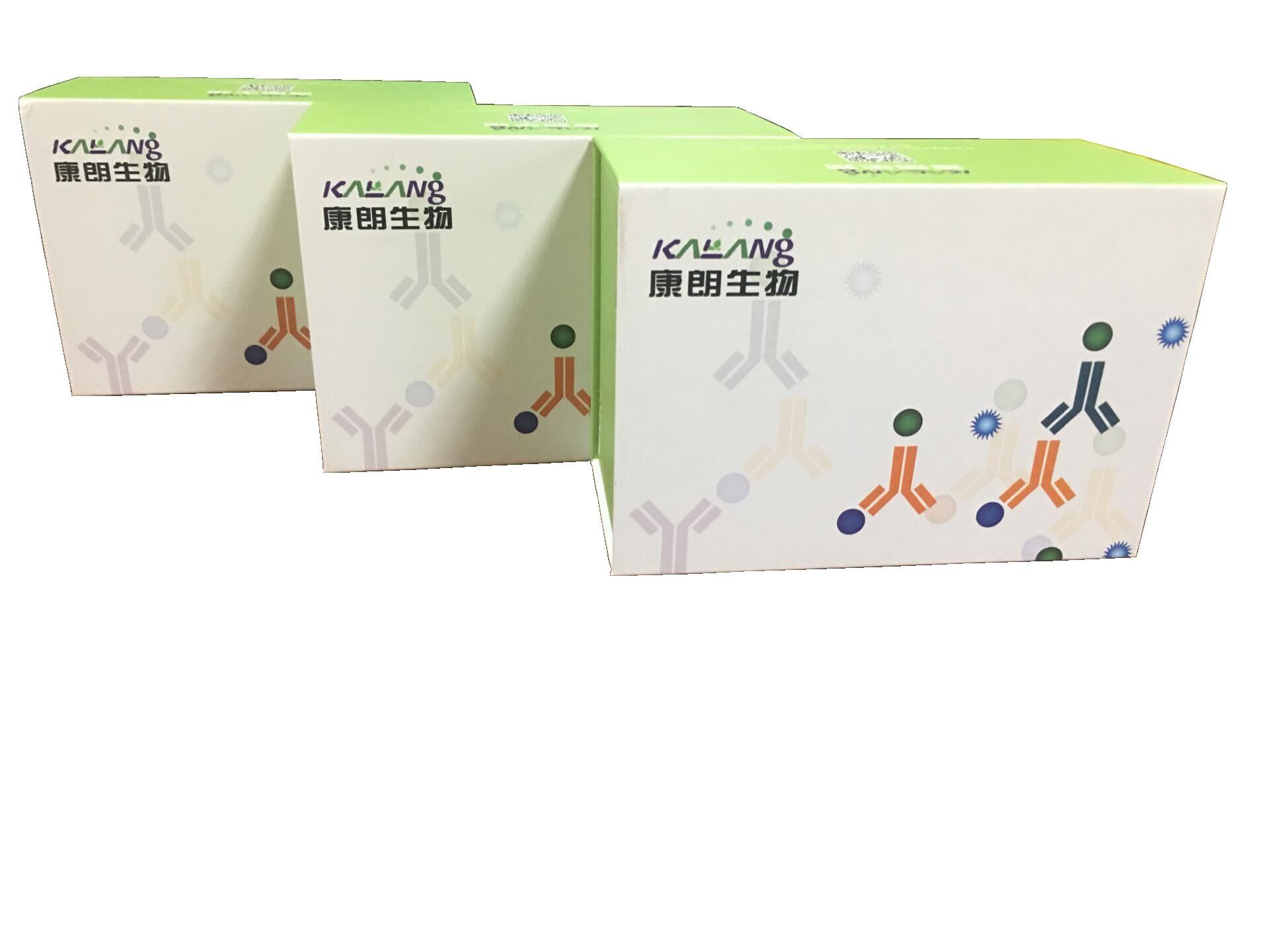 人趋化因子CCL19酶联免疫试剂盒