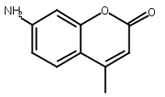7-氨基-4-甲基香豆素