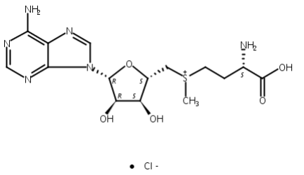 S-(5'-腺苷基)-L-氯化蛋氨酸