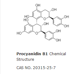 Procyanidin B1
