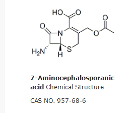 7-Aminocephalosporanic acid