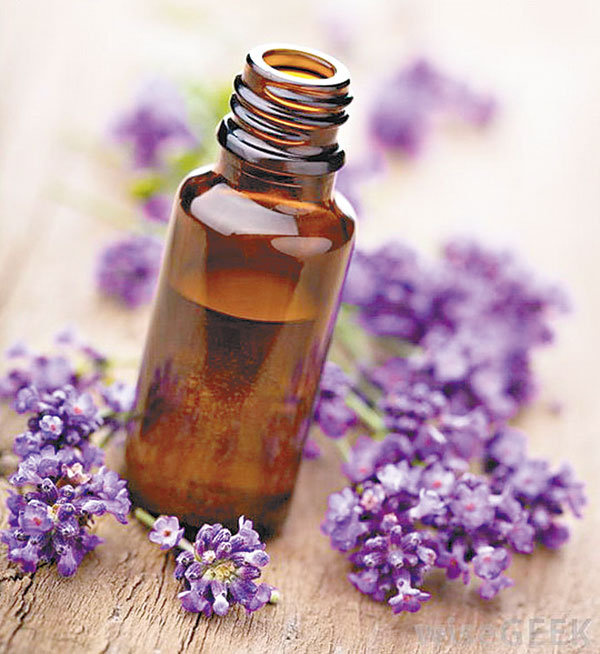 薰衣草油