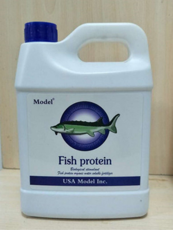 鱼蛋白肥