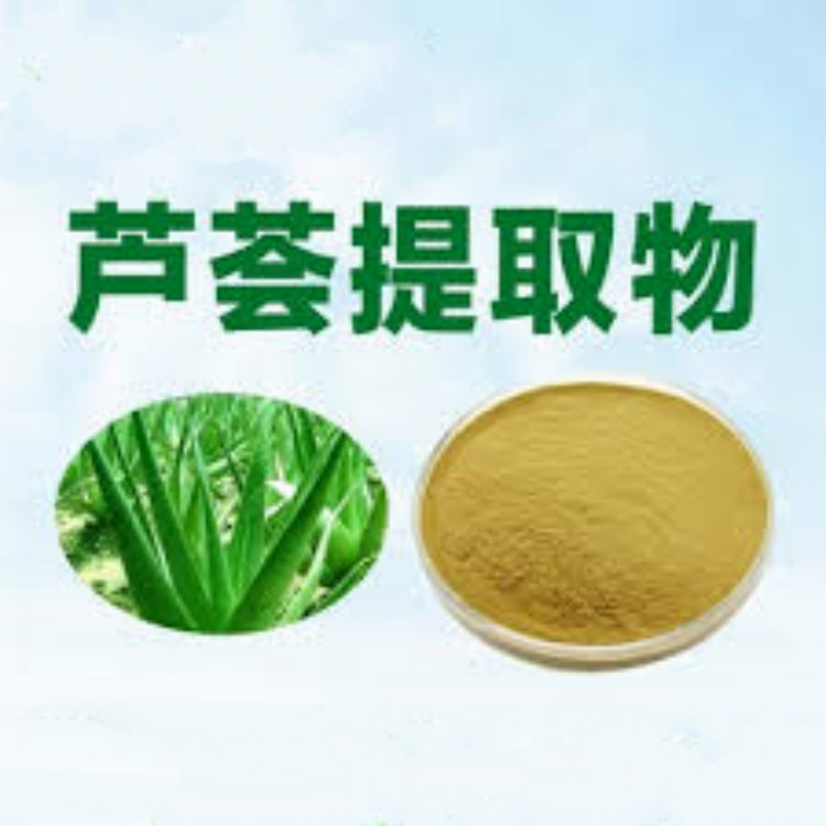 芦荟提取物