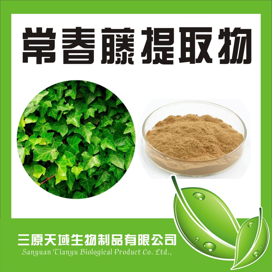 常春藤提取物10%甙 厂家直销 物美价廉