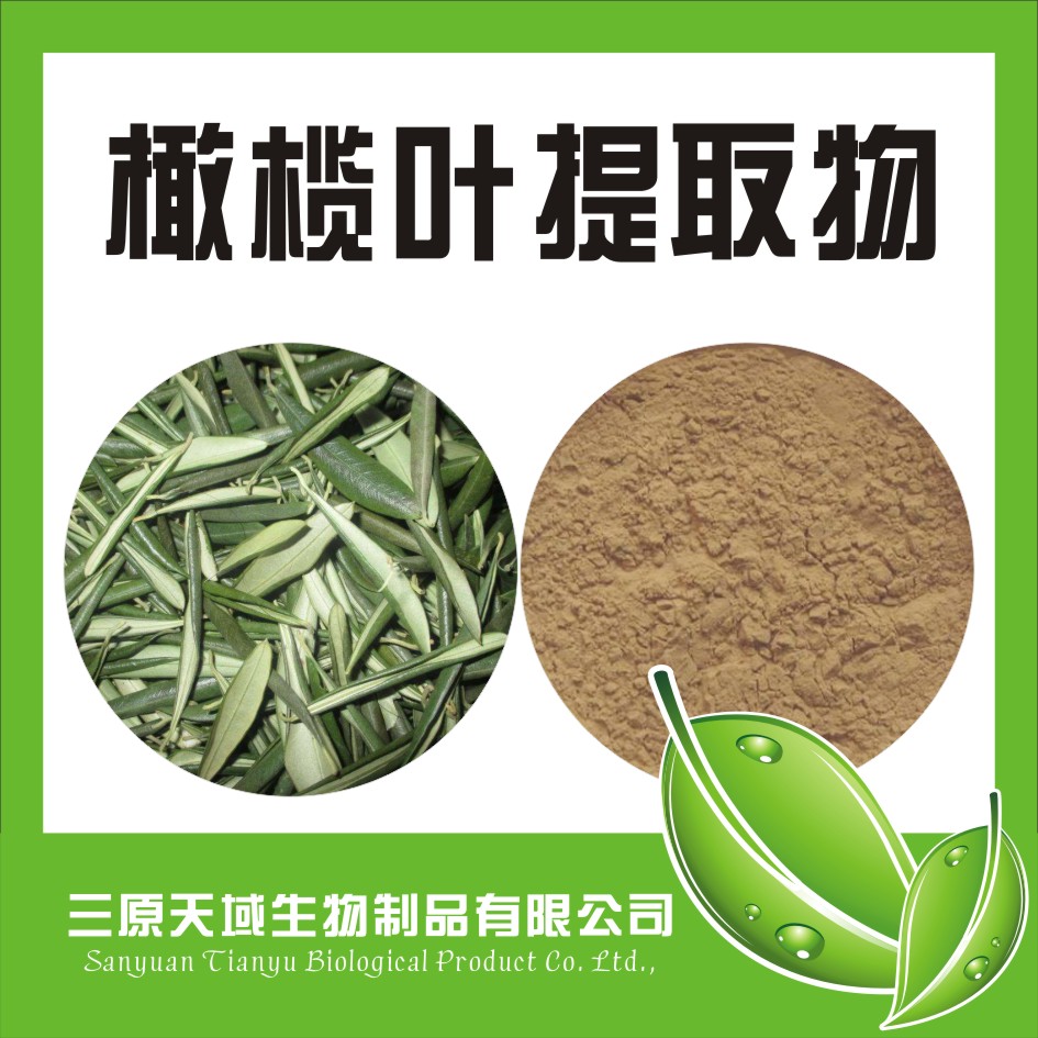 橄榄叶提取物20%